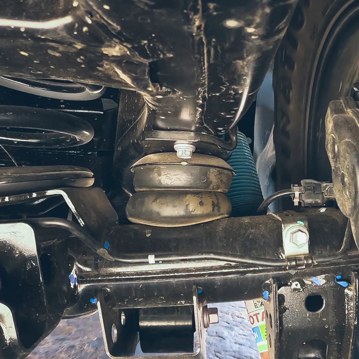 4th Gen Tacoma, 3rd Gen Tundra & Land Cruiser 250 Active Off-Road Bumpstops - Rear Kit - Image 6