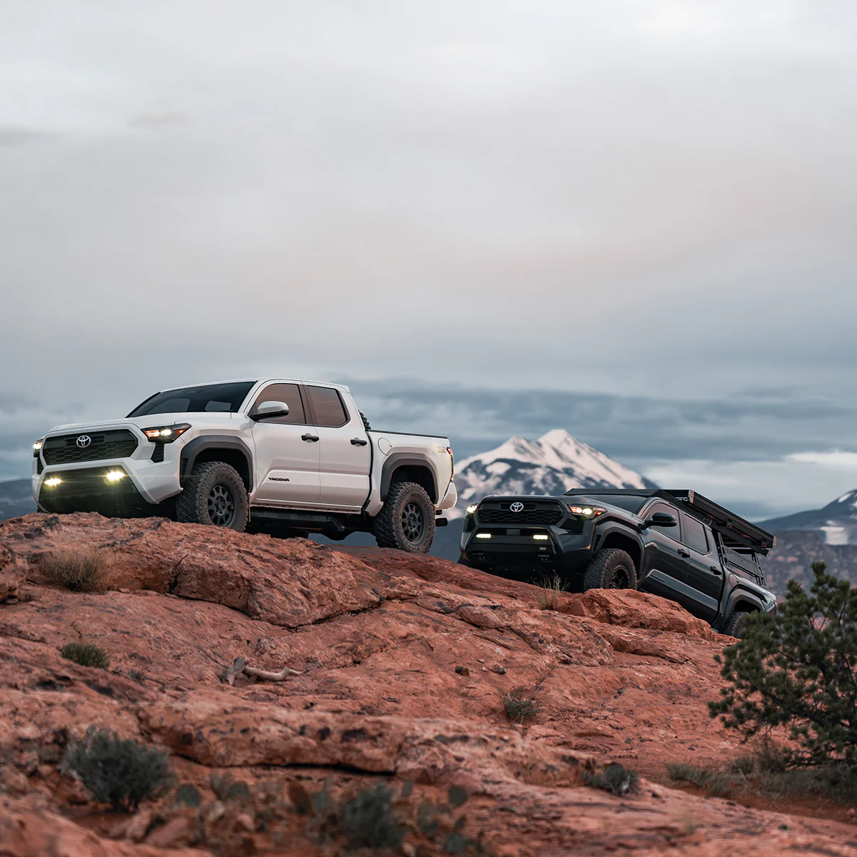 4th Gen Tacoma, 3rd Gen Tundra & Land Cruiser 250 Active Off-Road Bumpstops - Rear Kit - Image 7